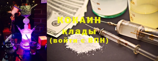 молекула духа Богородск
