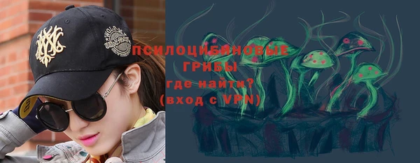 шишки Бронницы