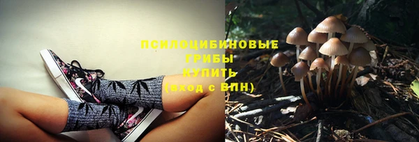молекула духа Богородск