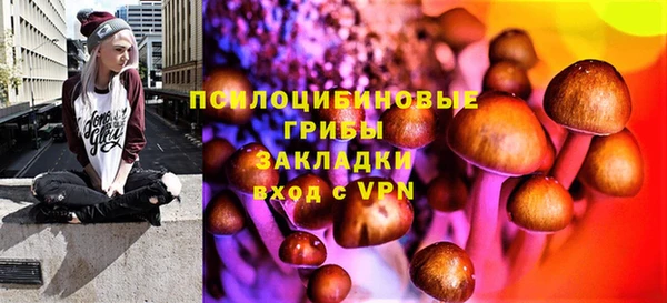 молекула духа Богородск