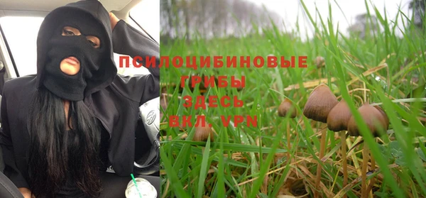 эйфоретик Бородино