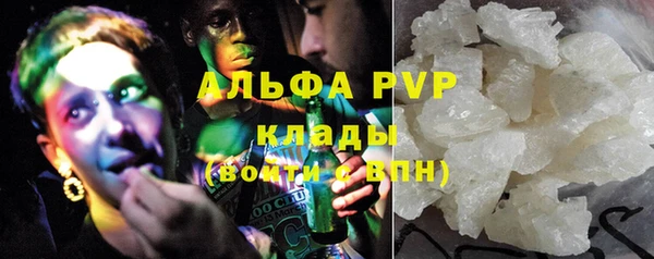 эйфоретик Бородино